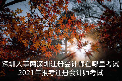 深圳人事網深圳注冊會計師在哪里考試2021年報考注冊會計師考試