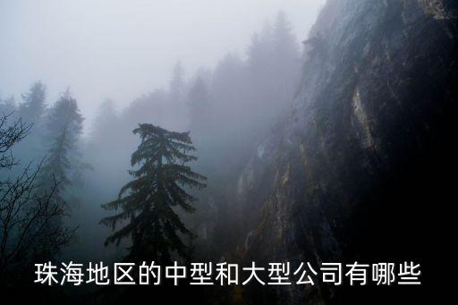 珠海地區(qū)的中型和大型公司有哪些