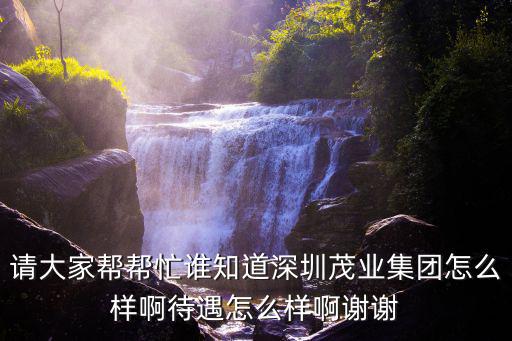 請大家幫幫忙誰知道深圳茂業集團怎么樣啊待遇怎么樣啊謝謝