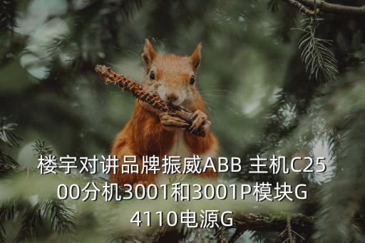 樓宇對(duì)講品牌振威ABB 主機(jī)C2500分機(jī)3001和3001P模塊G4110電源G