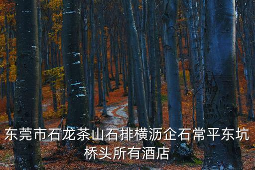 東莞市石龍茶山石排橫瀝企石常平東坑橋頭所有酒店