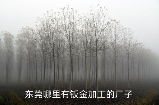 東莞市諾嘉金屬制品有限公司，固定號碼076938854759是在東莞的什么公司