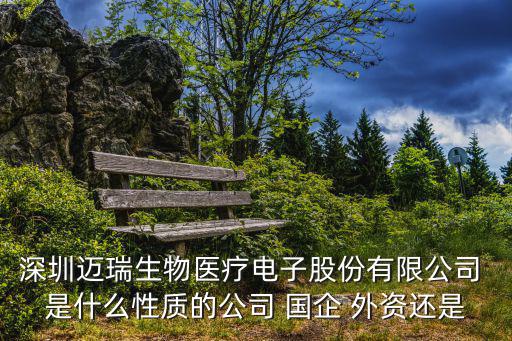 深圳邁瑞生物醫療電子股份有限公司 是什么性質的公司 國企 外資還是