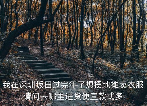 我在深圳坂田過完年了想擺地攤賣衣服請問去哪里進貨便宜款式多