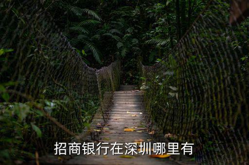 深圳招行，深圳招行全稱是
