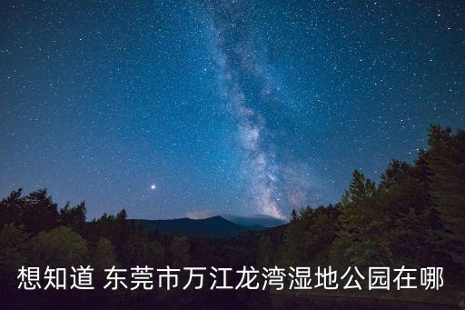 想知道 東莞市萬江龍灣濕地公園在哪