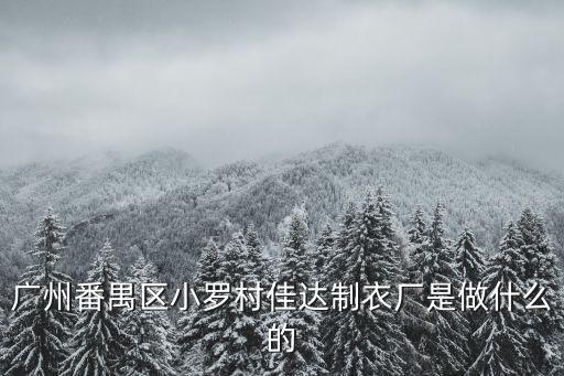 廣州番禺區(qū)小羅村佳達(dá)制衣廠是做什么的