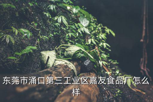 東莞市涌口第三工業(yè)區(qū)嘉友食品廠怎么樣