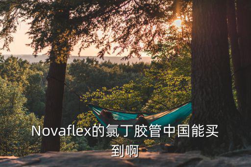 Novaflex的氯丁膠管中國能買到啊