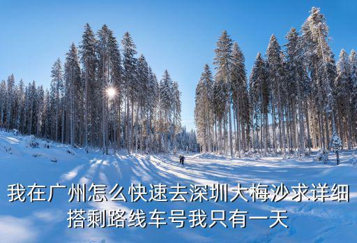 我在廣州怎么快速去深圳大梅沙求詳細搭剩路線車號我只有一天