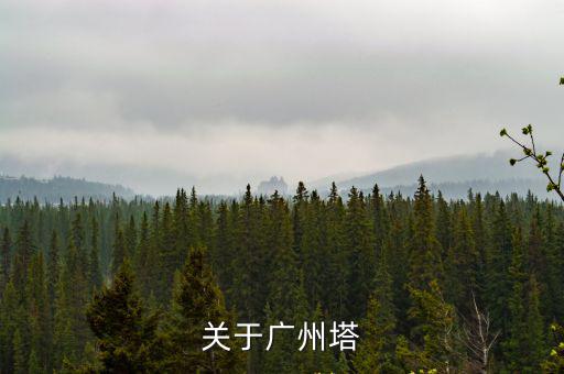 關于廣州塔