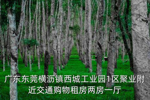 廣東東莞橫瀝鎮西城工業園1區聚業附近交通購物租房兩房一廳