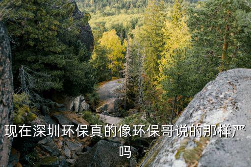 現(xiàn)在深圳環(huán)保真的像環(huán)保哥說的那樣嚴嗎