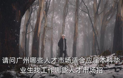 請問廣州哪些人才市場適合應(yīng)屆本科畢業(yè)生找工作哪些人才市場招