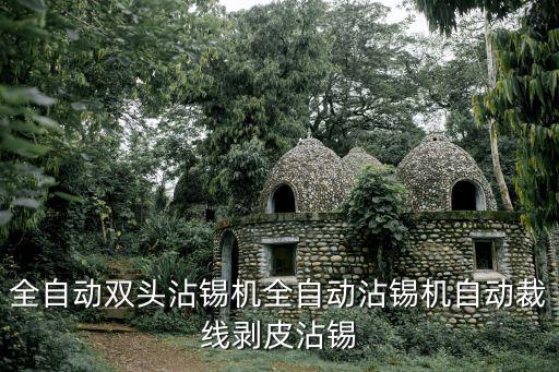 全自動雙頭沾錫機全自動沾錫機自動裁線剝皮沾錫