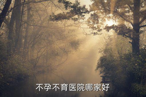 不孕不育醫(yī)院哪家好