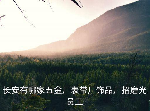 長(zhǎng)安有哪家五金廠表帶廠飾品廠招磨光員工