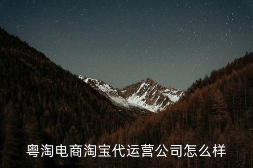 粵淘電商淘寶代運營公司怎么樣
