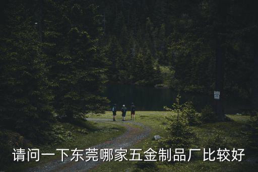 請(qǐng)問一下東莞哪家五金制品廠比較好