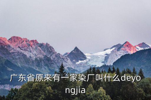 廣東省原來有一家染廠叫什么deyongjia