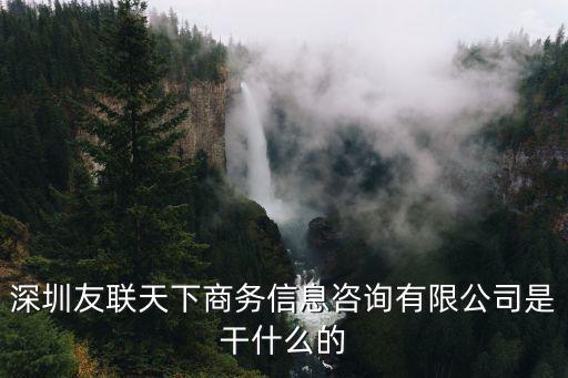 深圳友聯天下商務信息咨詢有限公司是干什么的