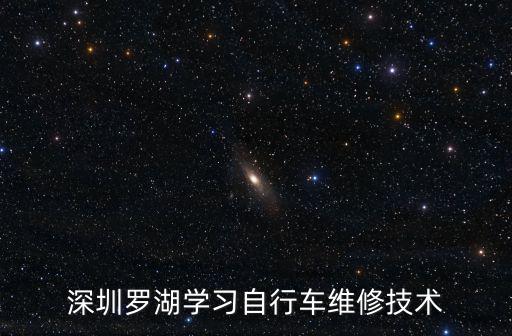 深圳羅湖學習自行車維修技術