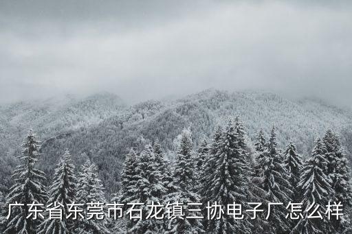 廣東省東莞市石龍鎮三協電子廠怎么樣