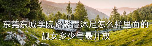 東莞東城學院路紫霞沐足怎么樣里面的靚女多少號最開放
