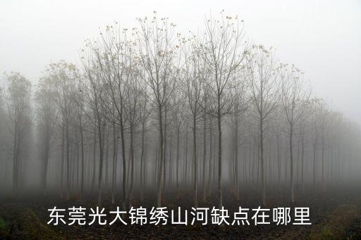 東莞光大錦繡山河缺點在哪里