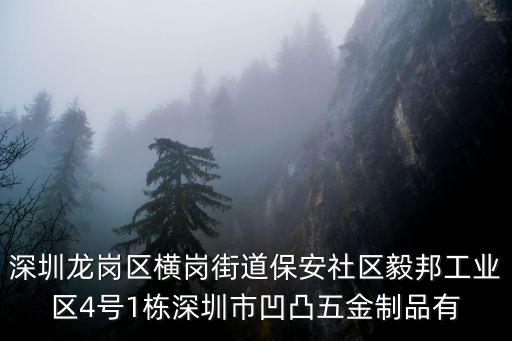 深圳龍崗區(qū)橫崗街道保安社區(qū)毅邦工業(yè)區(qū)4號(hào)1棟深圳市凹凸五金制品有
