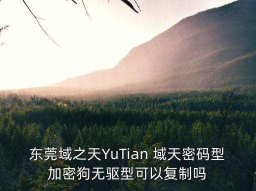 東莞域之天YuTian 域天密碼型加密狗無驅型可以復制嗎