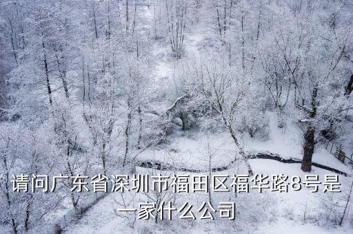 請問廣東省深圳市福田區福華路8號是一家什么公司