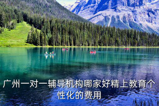 廣州一對一輔導機構哪家好精上教育個性化的費用