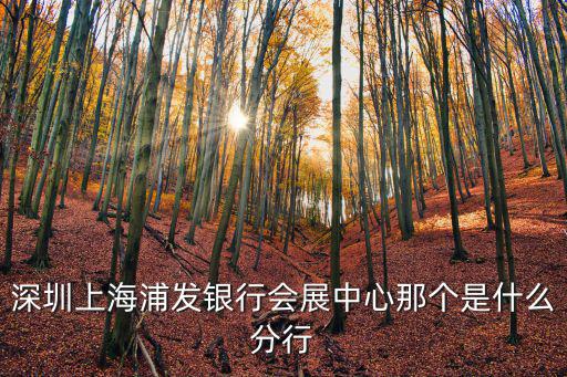 上海浦東發展銀行深圳分行，上海浦發銀行深圳分行地址