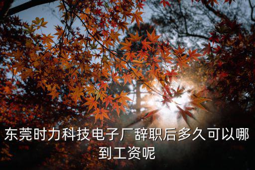 東莞時(shí)力科技電子廠辭職后多久可以哪到工資呢