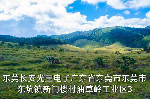東莞長安光寶電子廣東省東莞市東莞市東坑鎮新門樓村油草嶺工業區3