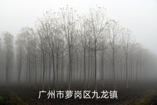 廣州市蘿崗區九龍鎮