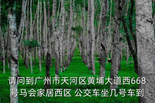 廣州馬會公交，請問到廣州市天河區黃埔大道西668號馬會家居西區 公交車坐幾號車到