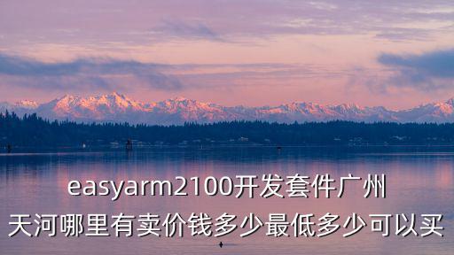 easyarm2100開發套件廣州天河哪里有賣價錢多少最低多少可以買