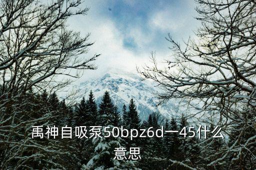 禹神自吸泵50bpz6d一45什么意思