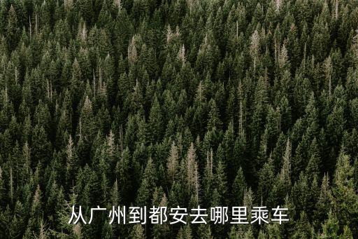 從廣州到都安去哪里乘車