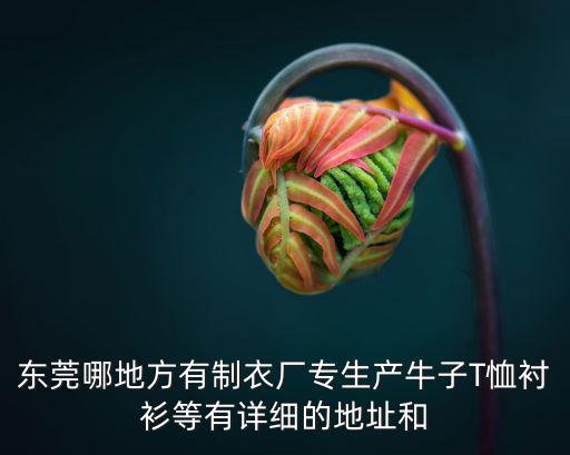 東莞哪地方有制衣廠專生產牛子T恤襯衫等有詳細的地址和