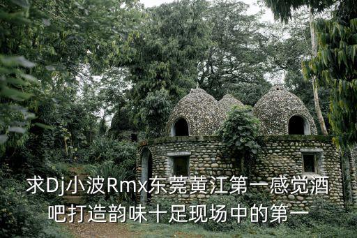 東莞dj小波仔現(xiàn)場(chǎng)，dj波仔現(xiàn)場(chǎng)串燒 叫什么 急急急