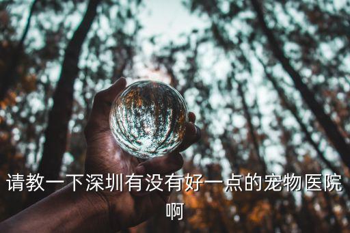 請教一下深圳有沒有好一點的寵物醫院啊