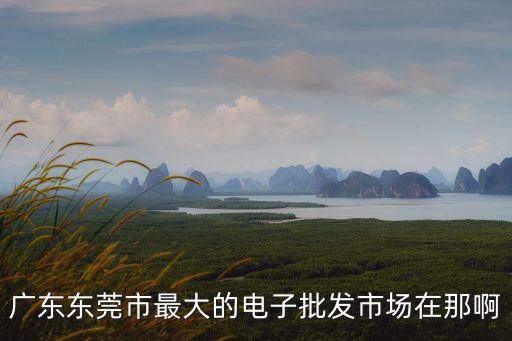 廣東東莞市最大的電子批發市場在那啊