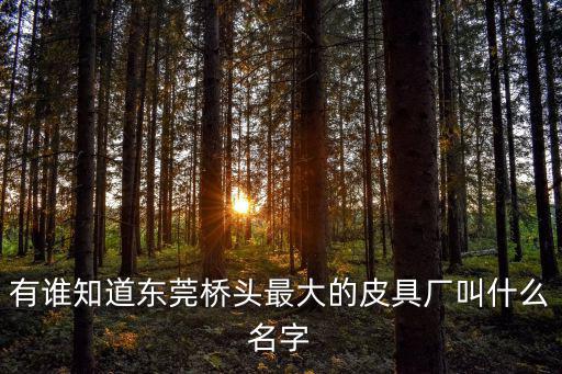 有誰知道東莞橋頭最大的皮具廠叫什么名字