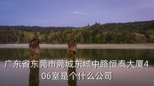 廣東省東莞市莞城東城中路恒泰大廈406室是個什么公司
