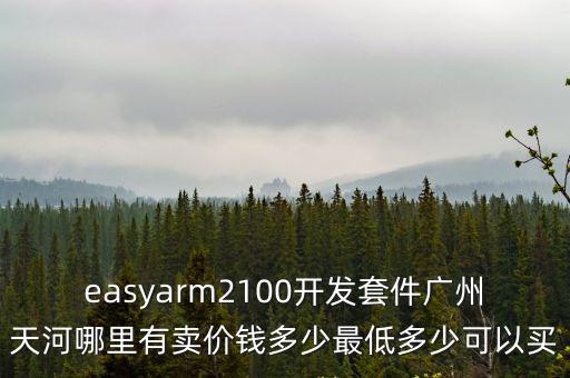 廣州從興電子開發有限公司 02，easyarm2100開發套件廣州天河哪里有賣價錢多少最低多少可以買