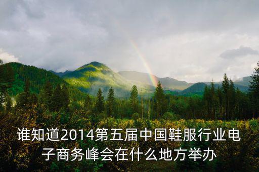 誰知道2014第五屆中國鞋服行業電子商務峰會在什么地方舉辦