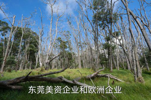東莞美資企業和歐洲企業